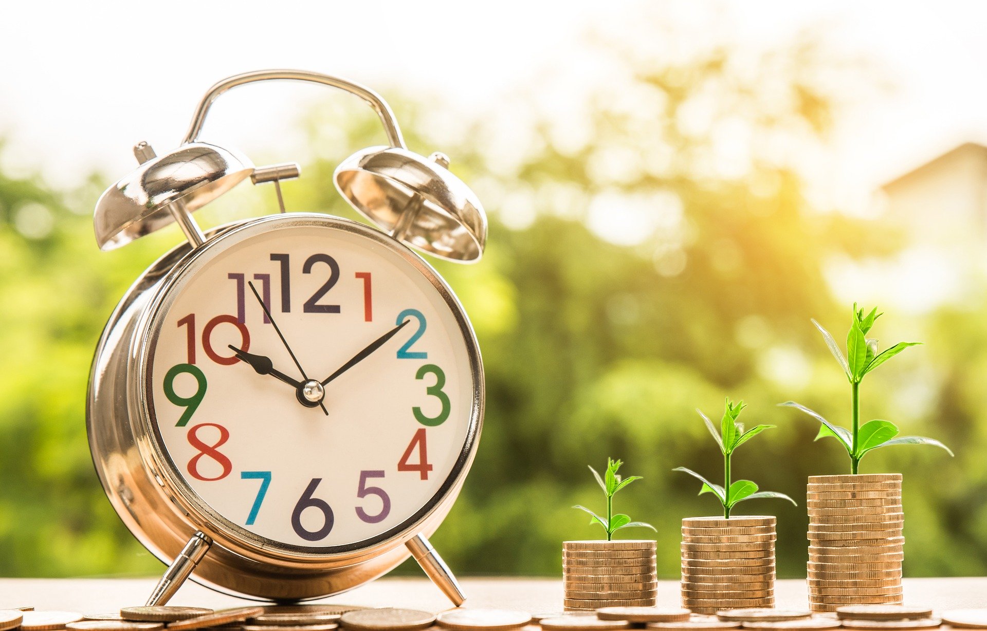 Coins and growth chart